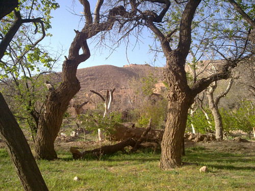 201104191006.jpg