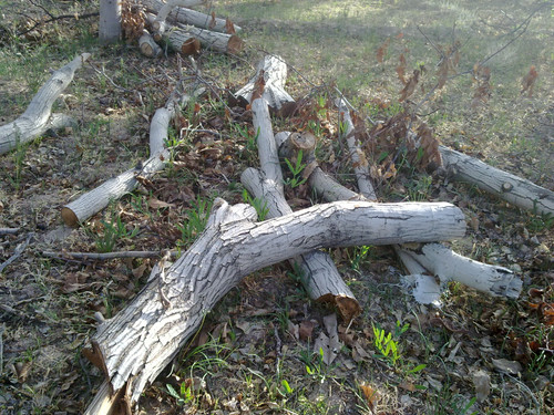 201104191011.jpg