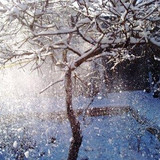20110204914