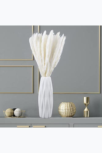 71ZZmR4XgUL. AC SX522 .png