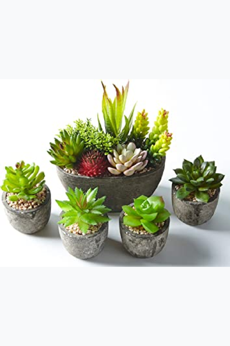 91pF9kOFdqL. AC SX355 .png