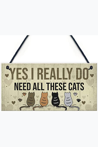 81Hqv38bgdL. AC SY355 .png