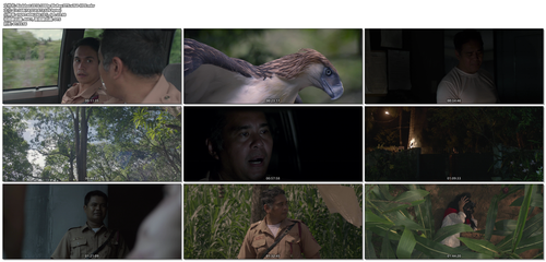 Birdshot.2016.1080p.BluRay.DTS.x264 HDS.mkv.png