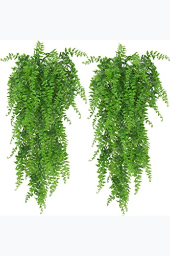 81JF2IoCsxL. AC SY355 .png