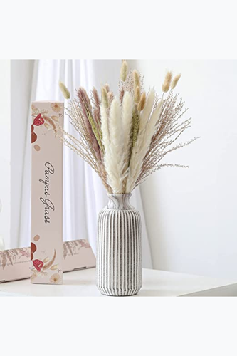 71V0vqPwN4L. AC SX522 .png