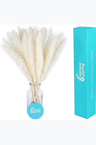 61djfeilNbL. AC SY355 .png