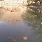khanik1389