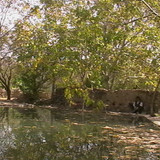 khanik1389
