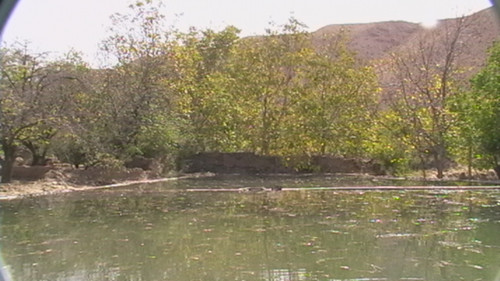 khanik1389.jpg