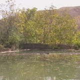 khanik1389
