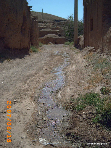 PICT0117.jpg