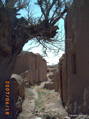 PICT0131.jpg