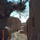 PICT0131