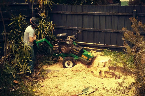 Tree and Stump Removal Melbourne.jpg