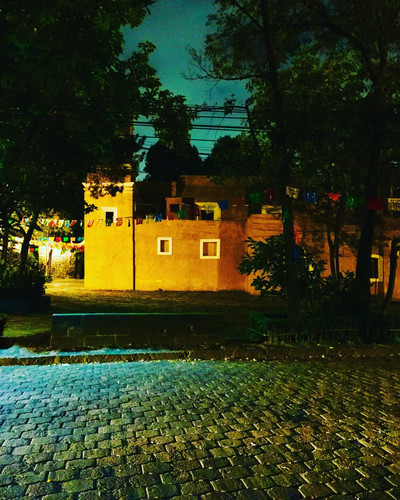 292165348 2388055858012311 2902023395028747895 n.jpg