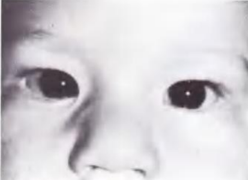 Screenshot 2022 07 15 1.05.14 PM.png