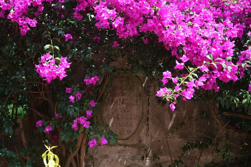 292222359 161006009827127 3050416934894735432 n.jpg