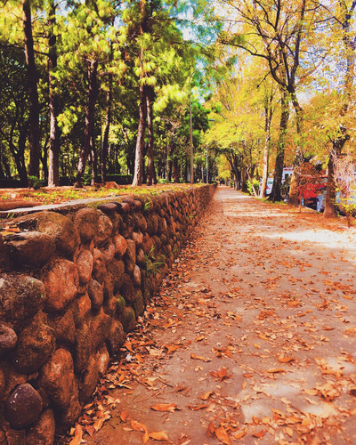 292502030 376201487960011 2940651573345365484 n.jpg