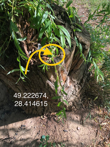 1027D06B 9026 4349 86FD 65BCECB9EC34.jpg