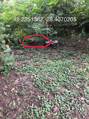 3FF18BFE E808 45C8 8A7B 7870B16075D3.jpg