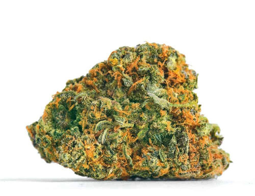 6232DB7B 505F 4443 8070 71DD3E4DA34A.jpg