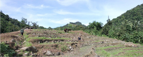sawah batu sanggabuana.jpg