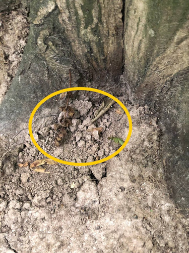 9E5FEF30 0922 4A51 BF11 9E0CEFFEF539.jpg