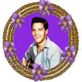 16580291456242721 (4).gif