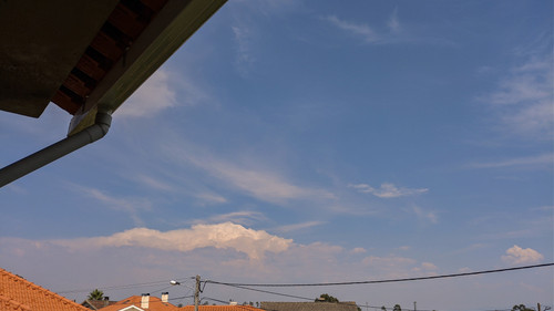 IMG 20220711 161557.jpg