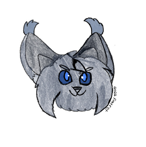 191B2E91 2D53 4FD9 A849 FB69F232422B.jpg