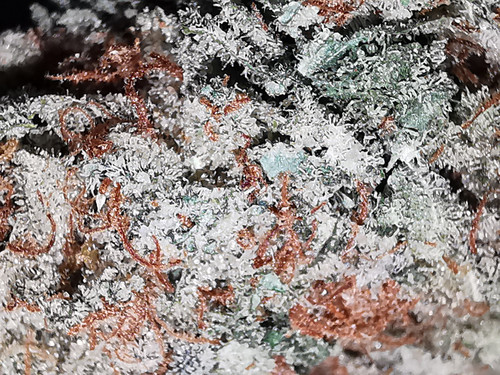 IMG 20220719 094225.jpg