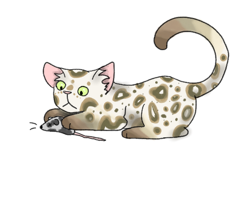 2022 07 10 0b7 Kleki.png