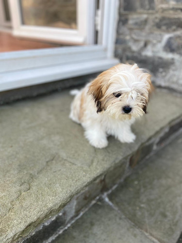 IMG 20220718 WA0014.jpg