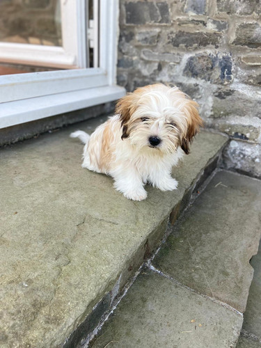 IMG 20220718 WA0016.jpg