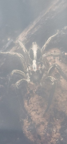 294560221 10159004194507194 5075470179677976439 n.jpg