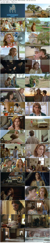 Whats.Eating.Gilbert.Grape.1993.BluRay.1080p.DTS HD.MA5.1.x265.10bit BeiTai preview.jpg