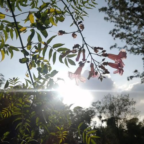 292220464 336245582043630 5615604347407381565 n.jpg