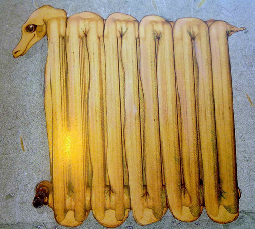 30724197 1317953334970949 9000882367165890560 n.jpg