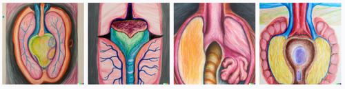 organs1.png