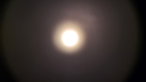 1668207441209.jpg