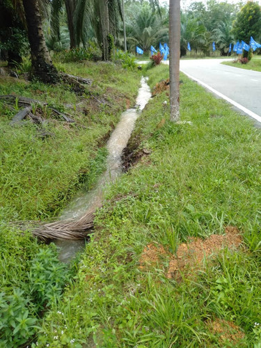 PALONG 16.jpg