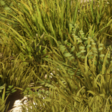 f77a82eb074a.png
