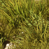 d295d7195c74.png