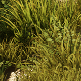 3e83e58a2325.png