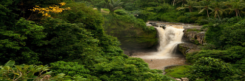 banner.png
