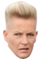 vanillaspice1.png
