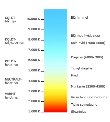 1668006039200.jpg