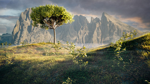 Quick landscape.jpg