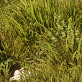 ad09cb3b2814.png