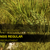 61367aa560dc.png